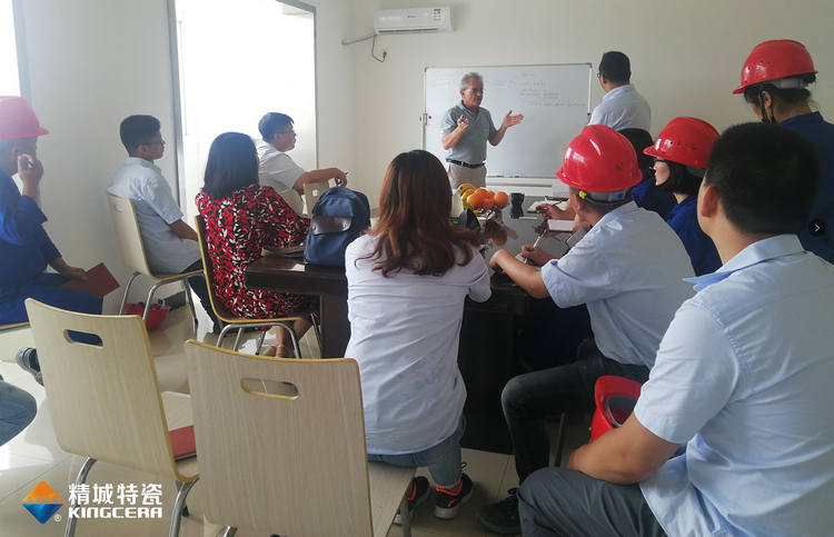 湖南人生就是博官网特邀意大利专家进行质量治理培训