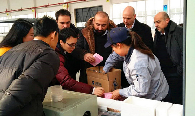 首页- 人生就是博中国官方网站